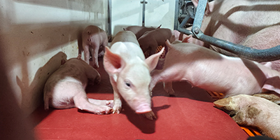 車輛洗消中心設(shè)計(jì)要求（規(guī)劃要求）？